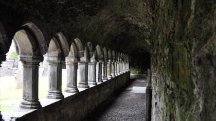 Sligo Abbey, Co. Sligo